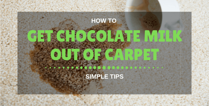 how to get chocolate milk out of carpet